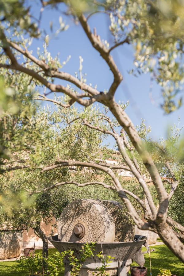 Bb Olive Bed and Breakfast Seget  Exterior foto